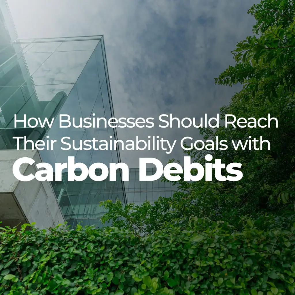 How-Businesses-Should-Reach-Their-Sustainability-Goals-with-Carbon-Debits