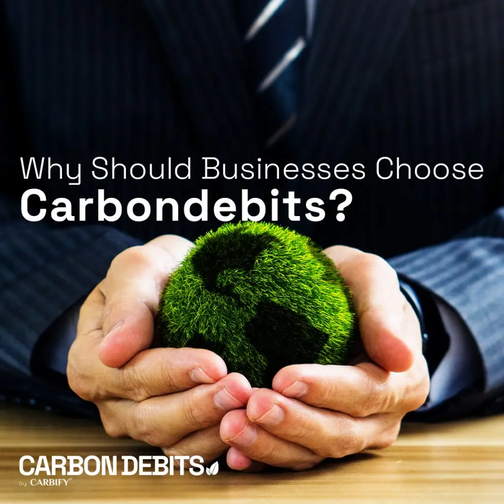 Why Should Businesses Choose Carbondebits?